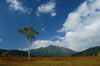 Nature3