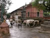 Travel3